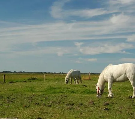 Hof Luisengrund Daire *