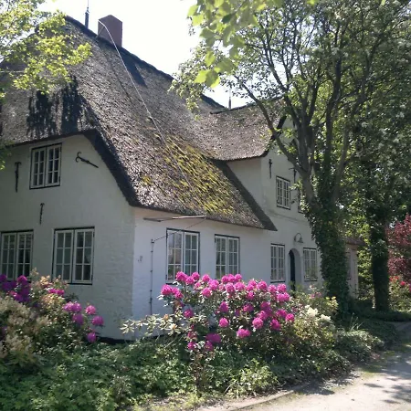 Daire Hof Luisengrund