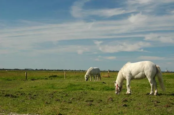 Hof Luisengrund Apartment *
